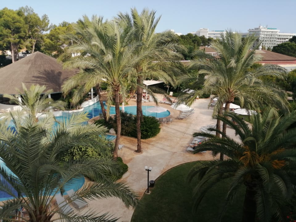 Gartenanlage Prinsotel La Dorada