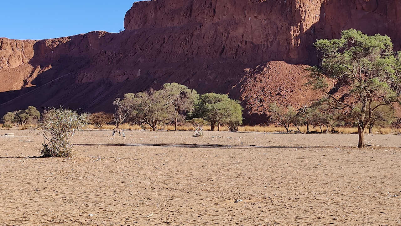Sonstiges Namib Desert Lodge