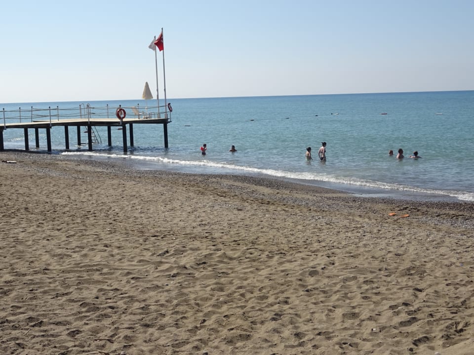 Strand Crystal Paraiso Aqua Collection