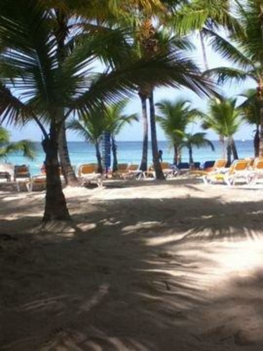 Hotel Viva Wyndham Dominicus Palace Hotel Viva Dominicus Palace by Wyndham-All Inclusive Resort
