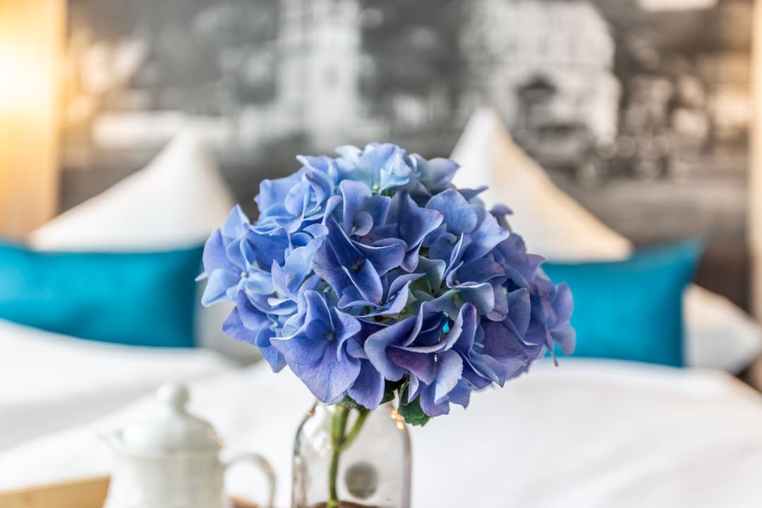 Sonstiges Villa Sachsenhof