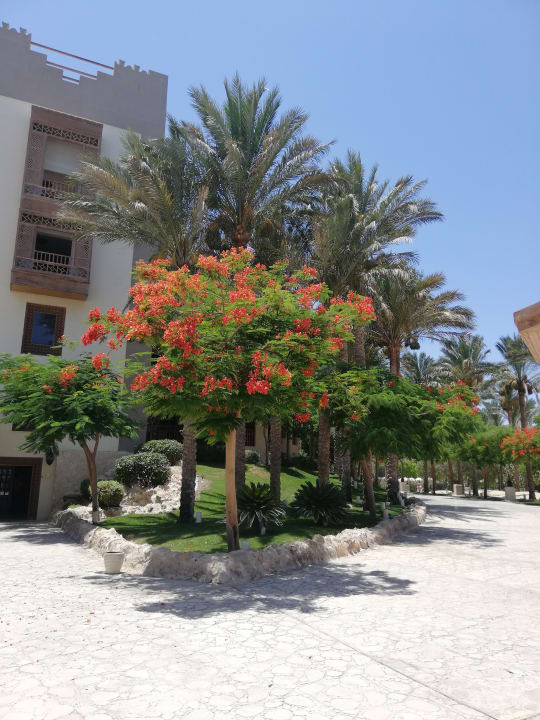 Strand Makadi Spa - Adults only