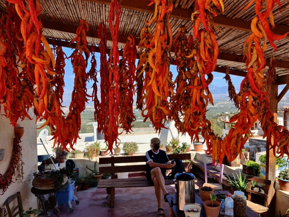 Sonstiges Delfina Tropic Beach