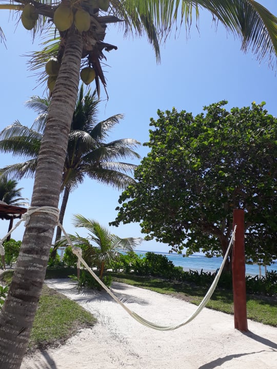 Gartenanlage Akumal Bay Beach & Wellness Resort