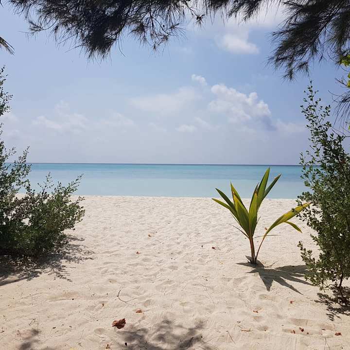 Strand Summer Island Maldives