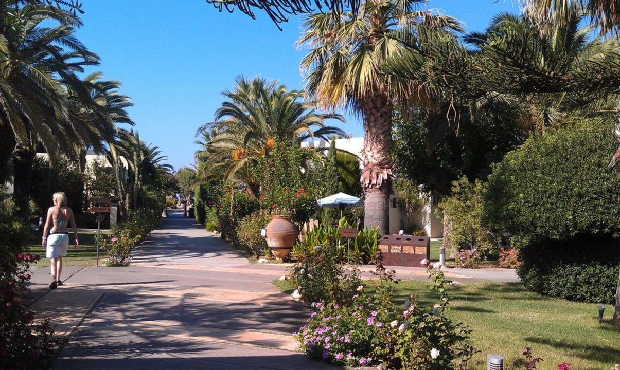 Garten Phãea Cretan Malia