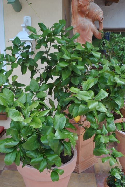 Ein Flair italienisch Hotel Ländenhof