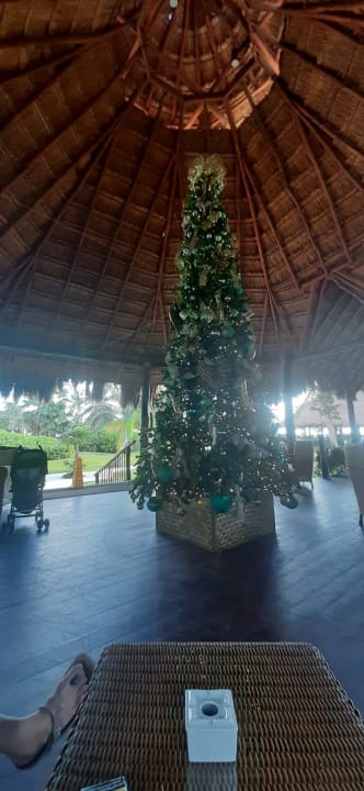 Lobby Akumal Bay Beach & Wellness Resort