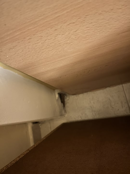 Zimmer MLL Palma Bay Club Resort