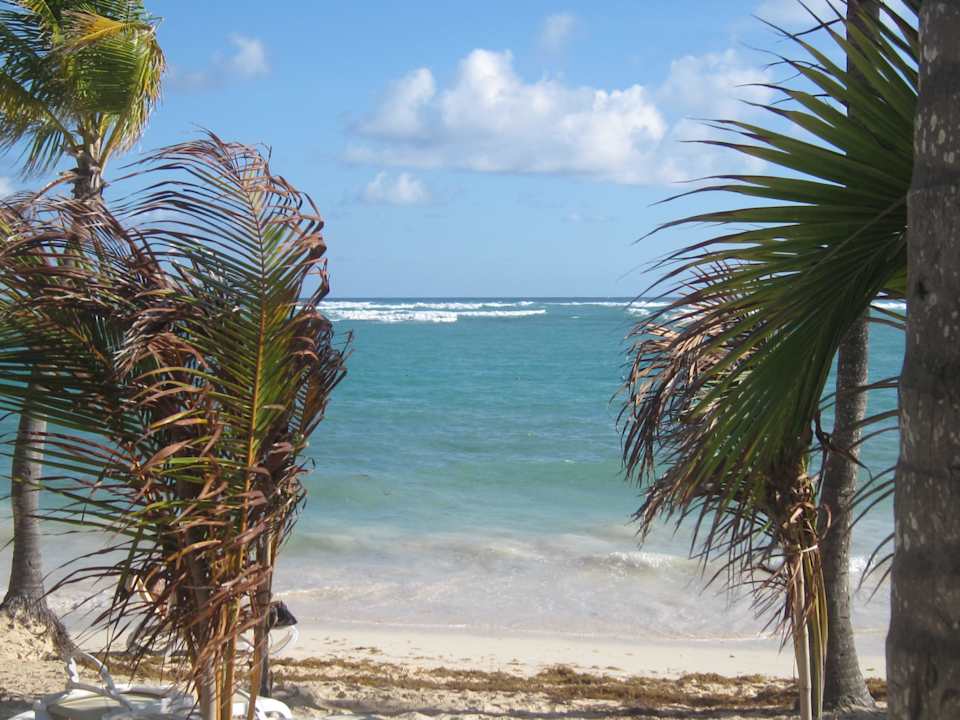 Plaża Hotel Riu Palace Bavaro