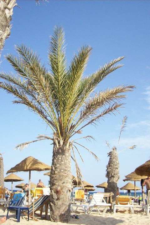 Am Strand Hotel Paradis Palace