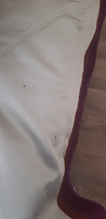 Zimmer Hotel Botanik Platinum