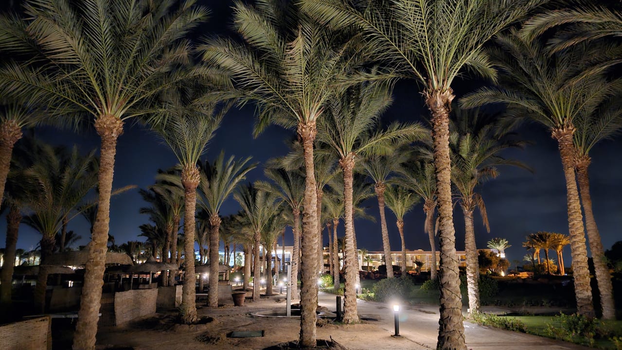 Gartenanlage Palm Royale Resort - Soma Bay