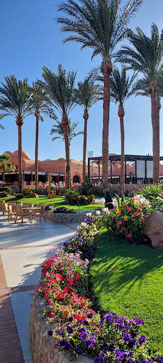 Ausblick Jaz Makadi Oasis Resort