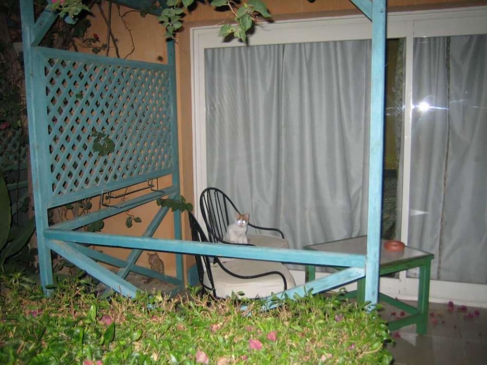 Bungalowzimmer Giftun Azur Resort