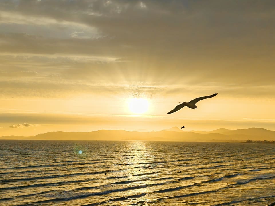 Sonstiges allsun Hotel Marena Beach