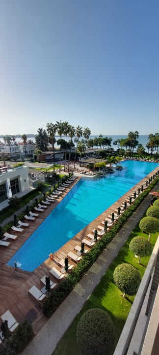 Pool Acanthus Cennet Barut Collection