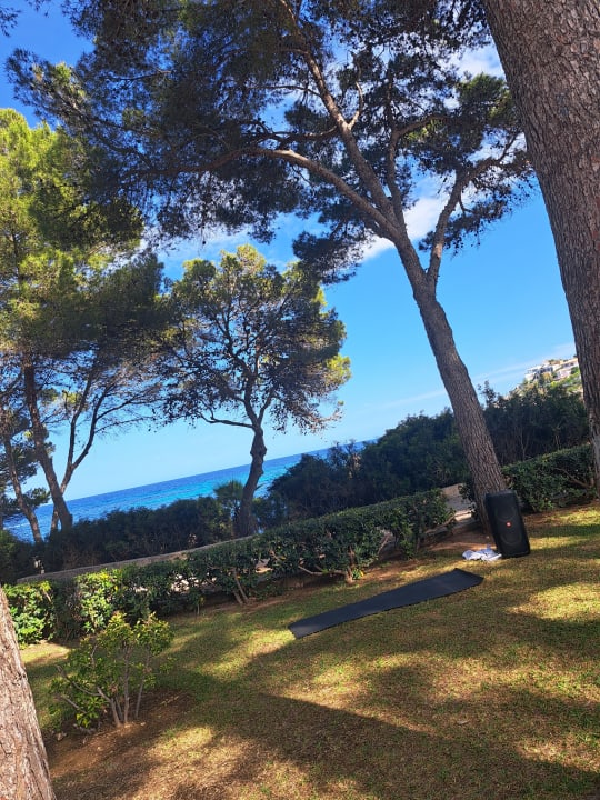 Gartenanlage Iberostar Waves Pinos Park