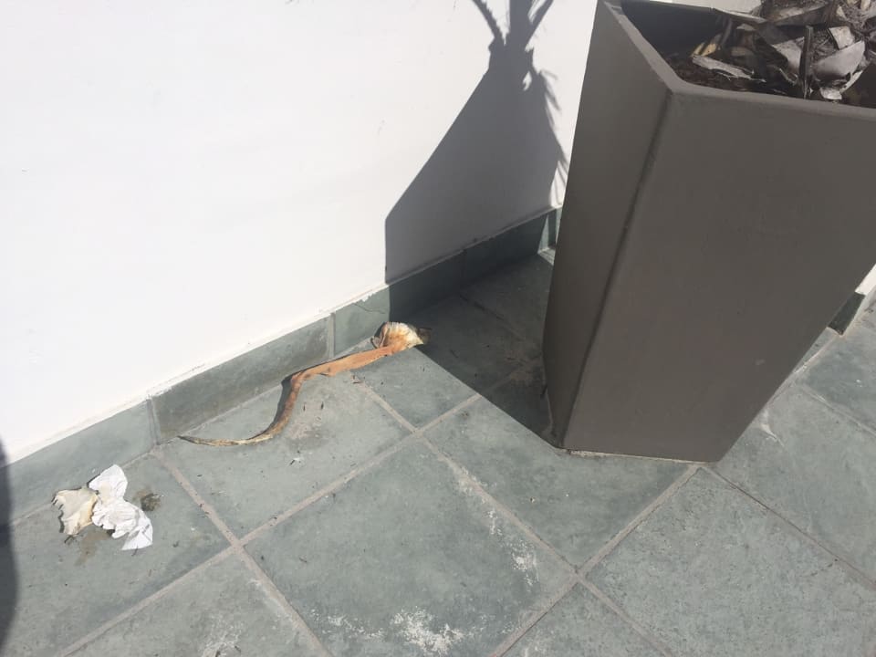 Sonstiges Santa Maria Beach House