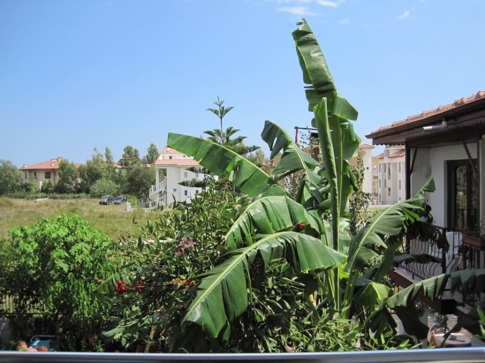 Zimmeraussicht Hotel Side Elis