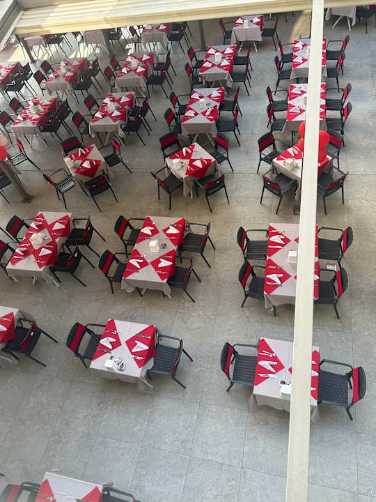 Gastro Seashell Vega