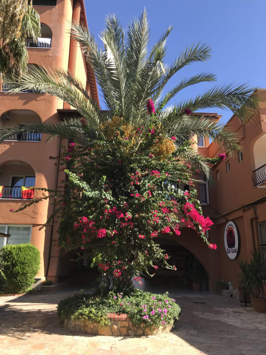 Gartenanlage Club Turtas Beach Hotel