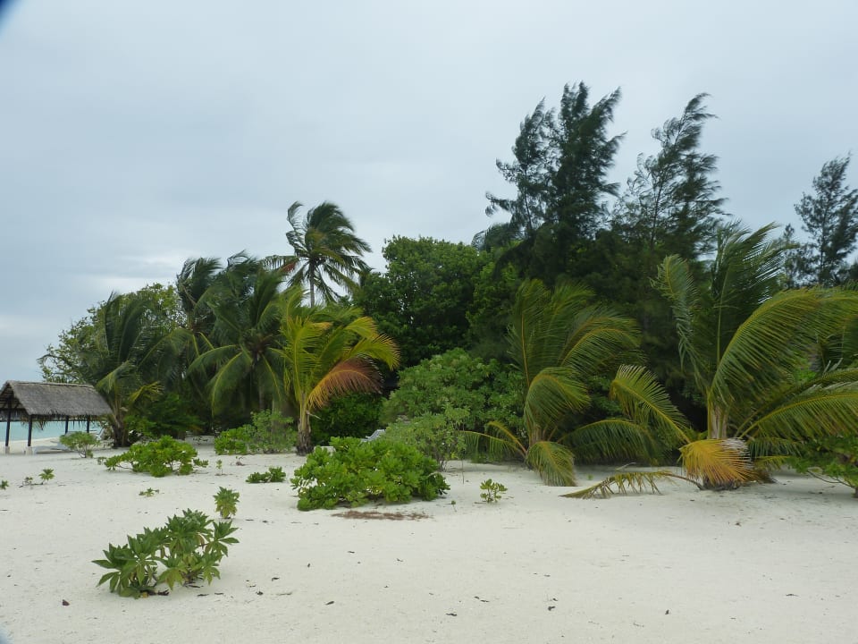 Strand Summer Island Maldives