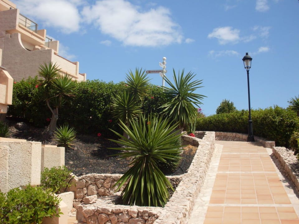 Weg im Hotel SBH Hotel Taro Beach