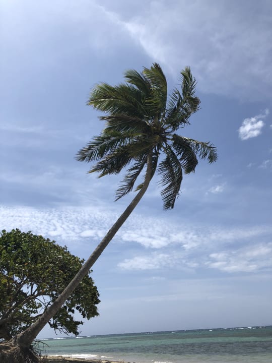 Strand Marien Puerto Plata