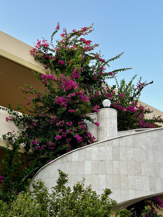 Außenansicht Hotel Kalithea Horizon Royal