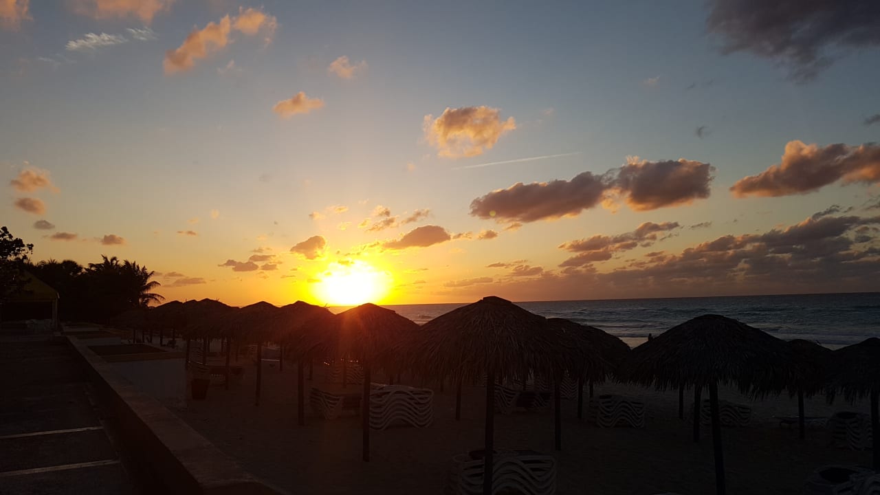 Strand Starfish Cuatro Palmas