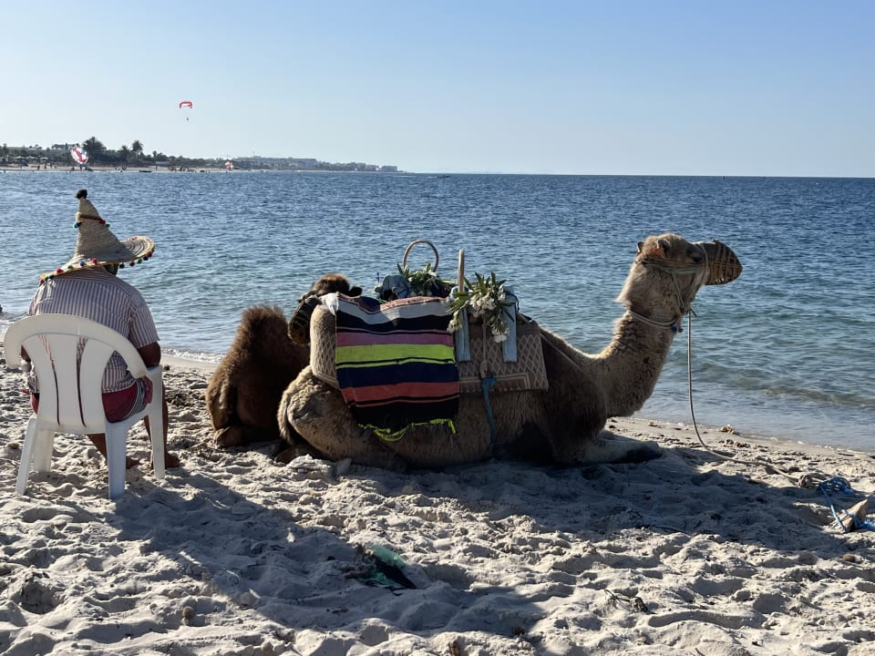 Strand Hotel Marhaba Palace