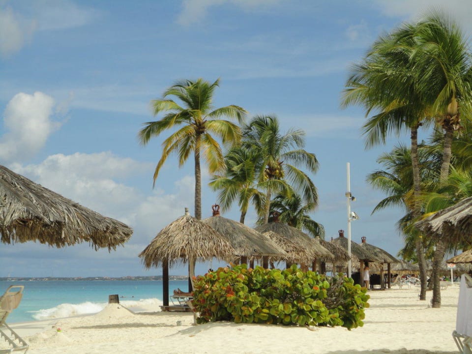 Strand Bucuti & Tara Beach Resort - Adults only