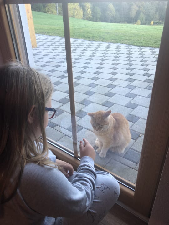 Zimmer Erlebnisbauernhof Achatz