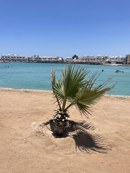Strand Arabia Azur Resort