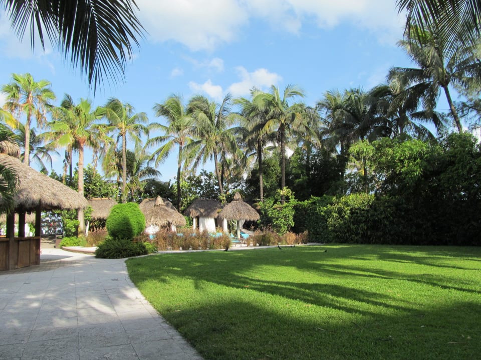 Gartenanlage The Palms Hotel & Spa