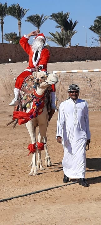 Sonstiges Steigenberger Coraya Beach - Adults only