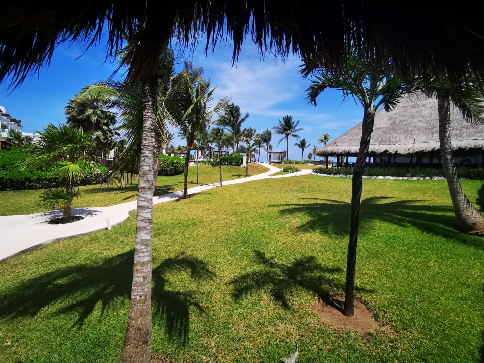 Gartenanlage Akumal Bay Beach & Wellness Resort