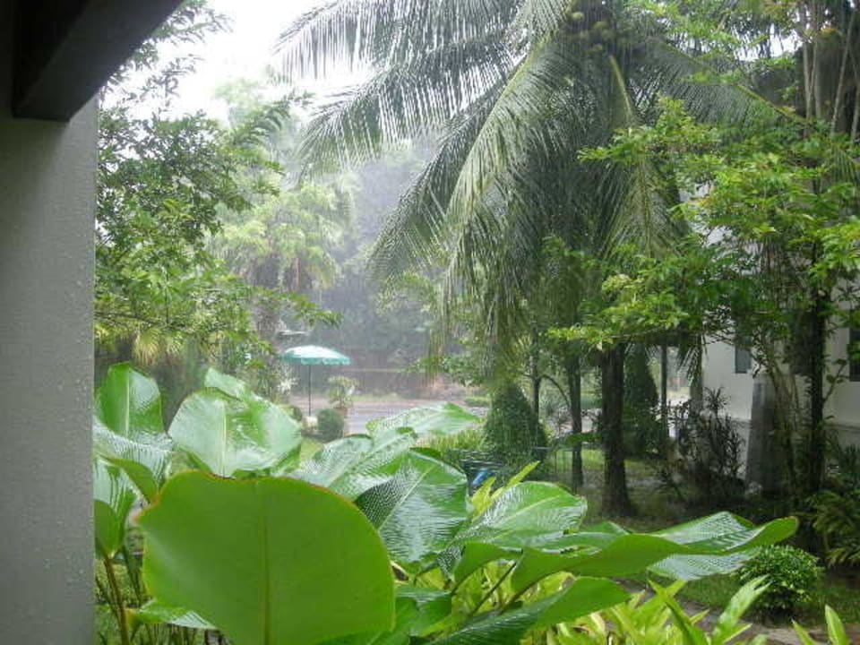 Garten mal im Regen. Baan Khaolak Beach Resort