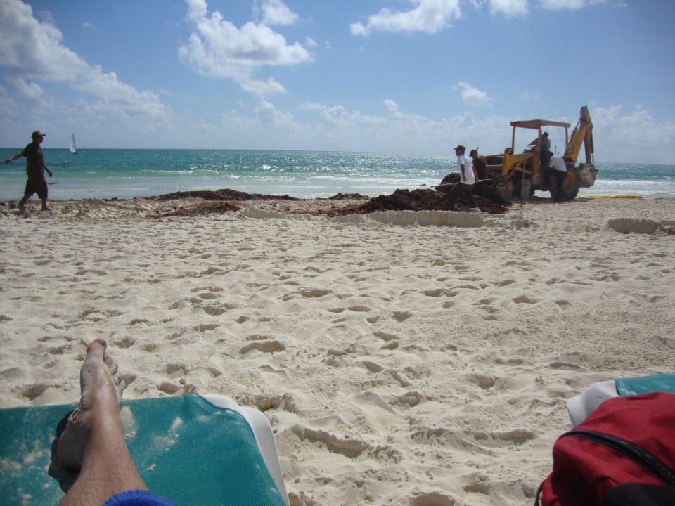 Direkt vor der Nase  Catalonia Playa Maroma