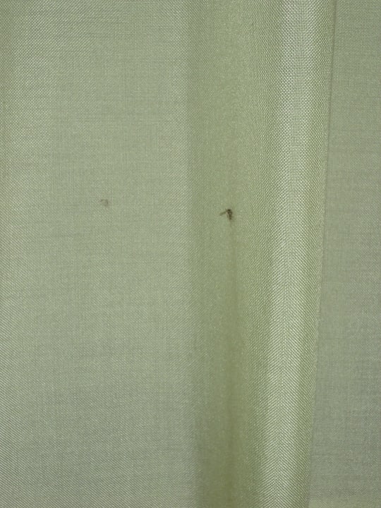 Vorhänge mit alten vertrockneten Mücken Tizé Village