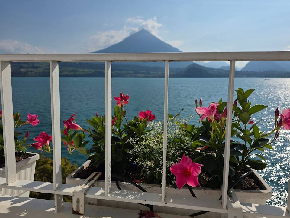 Ausblick Beatus Wellness- & Spa-Hotel