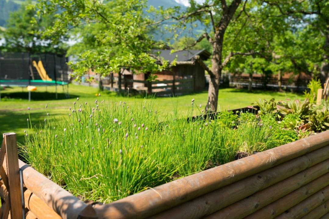 Gartenanlage Hotel Gasthof Kröll