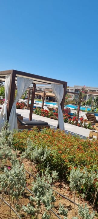 Pool Steigenberger Resort Ras Soma