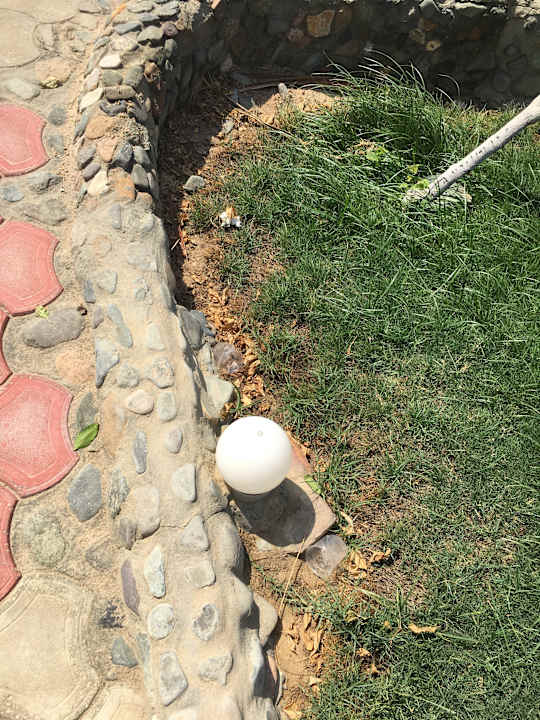 Gartenanlage Three Corners Sea Beach Resort