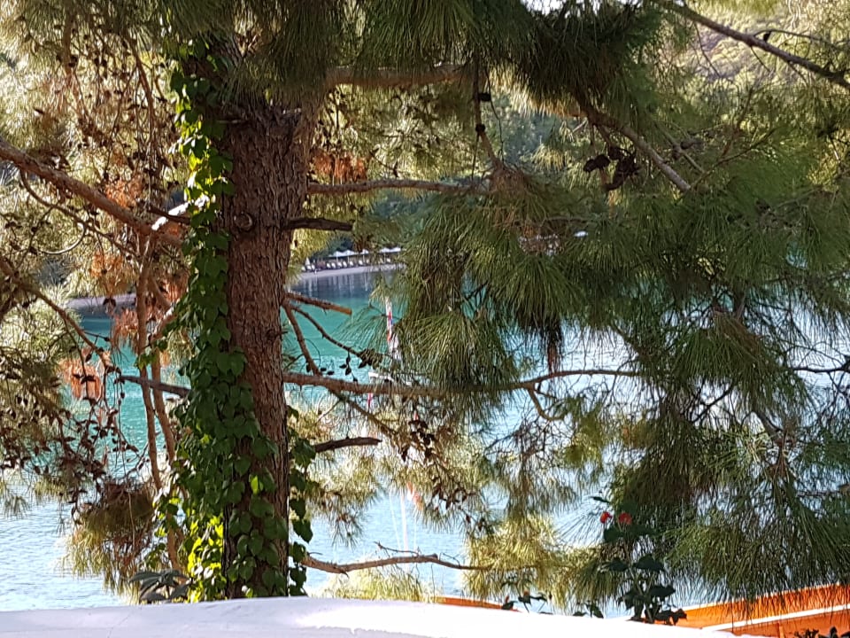 Ausblick Club & Hotel Letoonia