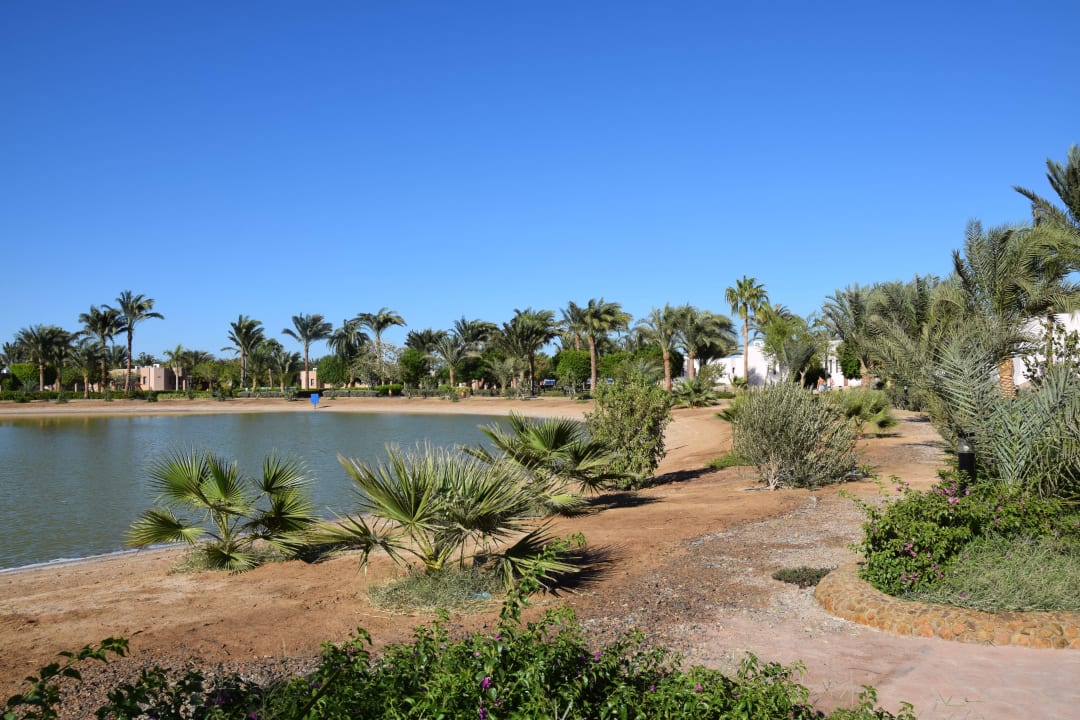 Pond Pharaoh Azur Resort