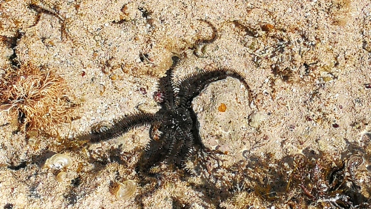 Strand Three Corners Sea Beach Resort