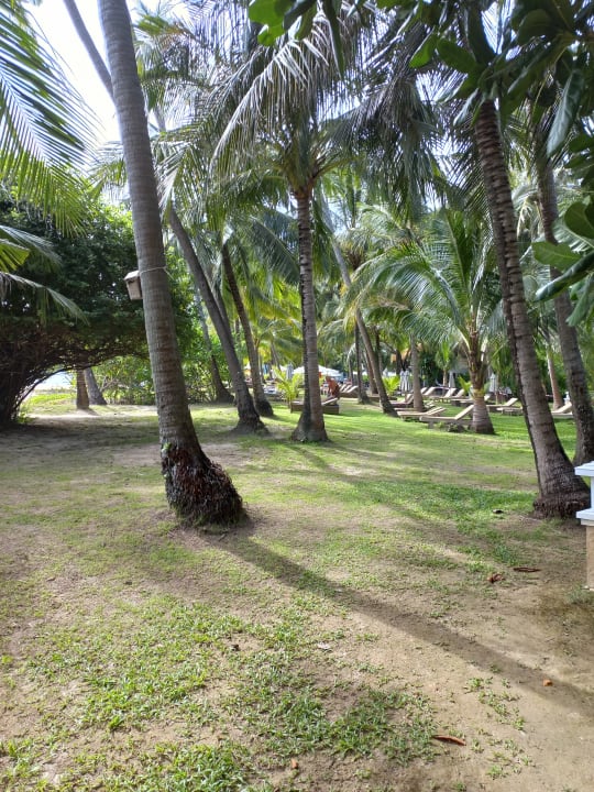 Gartenanlage Cape Panwa Hotel