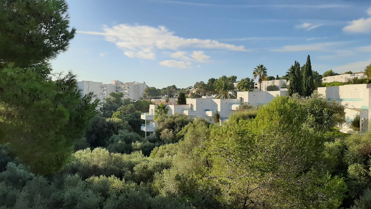 Ausblick Apartamentos Playa Ferrera
